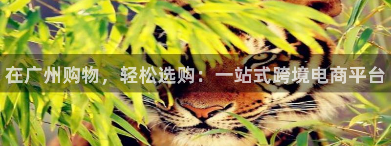 谈球吧可靠吗