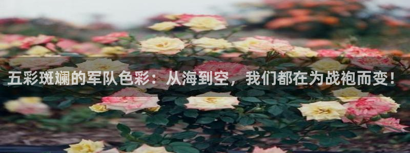 谈球吧体育官网入口