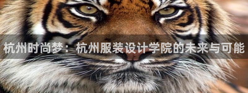 谈球吧的聊天软件