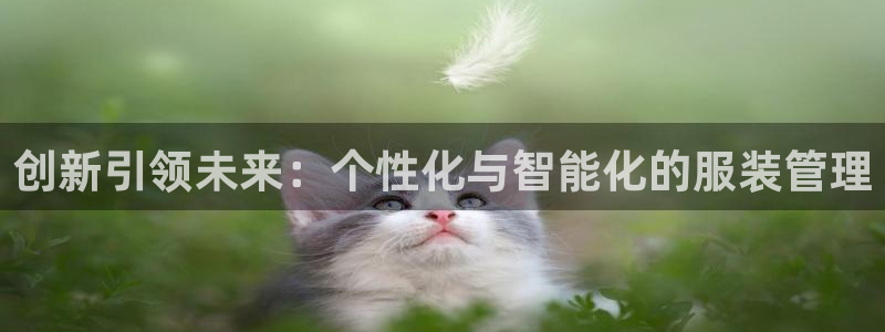 谈球吧官网在线入口免费观看高清视频