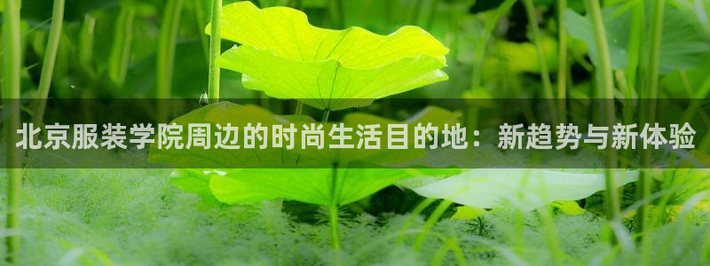 谈球吧是正规平台吗安全吗