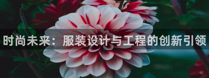 谈球吧真人