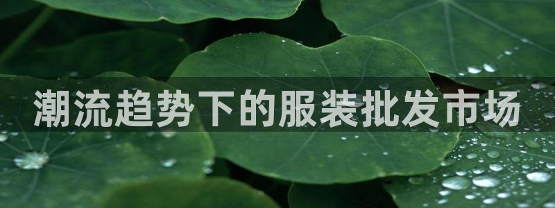 谈球吧怎么样?