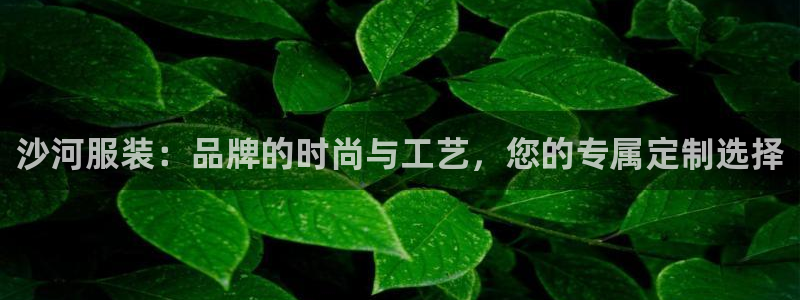 谈球吧APP入口