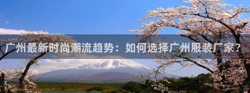 谈球吧在线观看