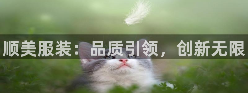 谈球吧网页登陆