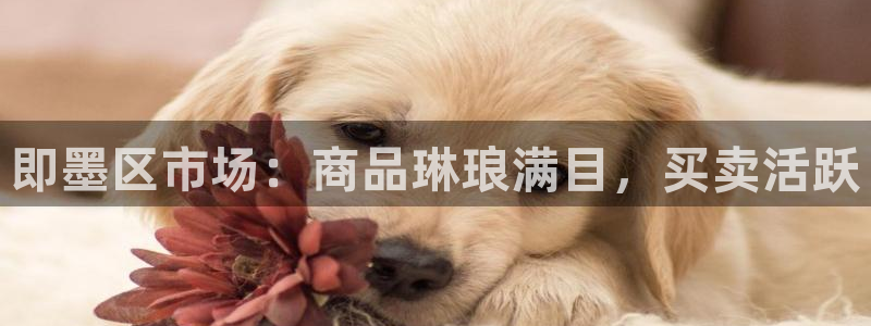 谈球吧体育app官网下载安卓
