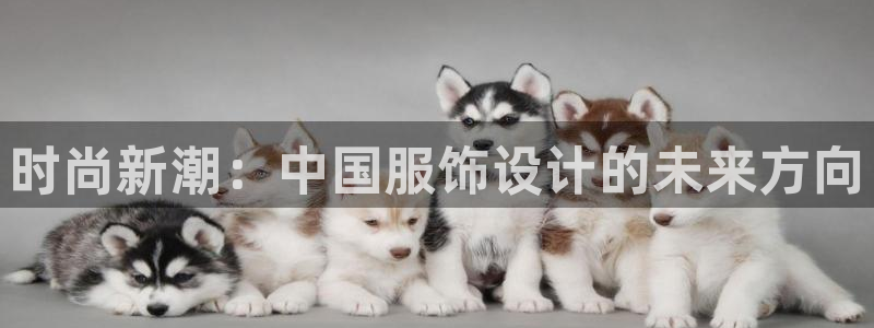 谈球吧体育app官网下载安卓