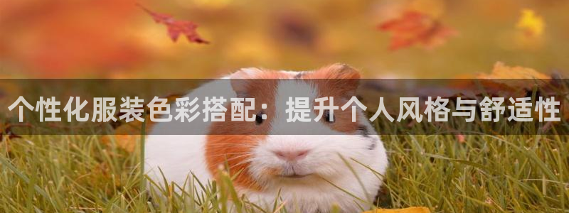 谈球吧在线登录免费观看