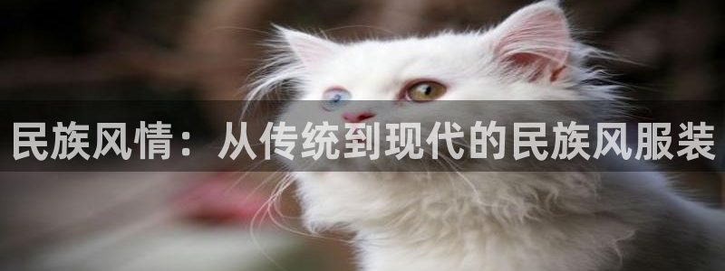 谈球吧官网在线入口手机版免费下载