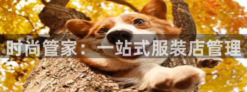 谈球吧最新APP下载