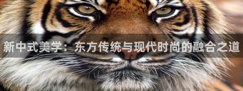 谈球吧出款怎样?