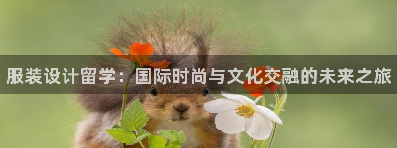 谈球吧体育综合台