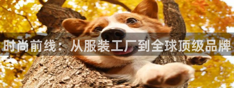 谈球吧是黑台子吗