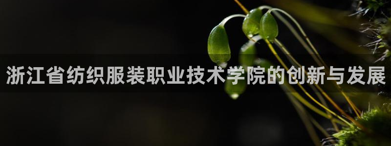 谈球吧体育app登陆入口