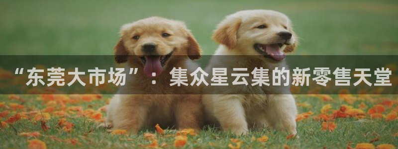 谈球吧平台app下载网址是多少