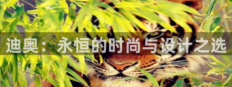 谈球吧官网在线入口网址