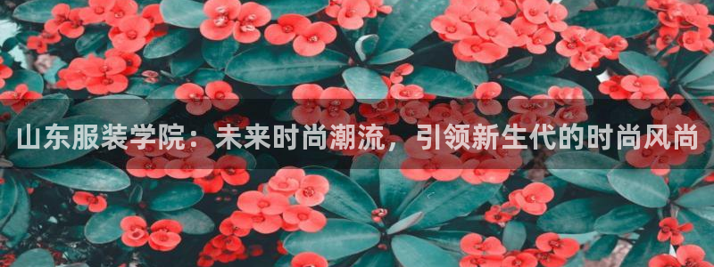 谈球吧的聊天软件下载