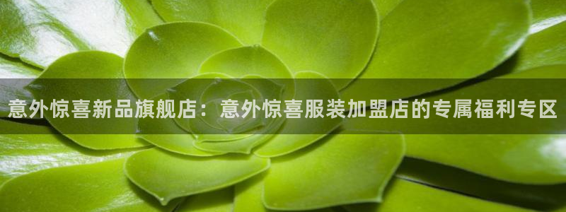 谈球吧红包激活码