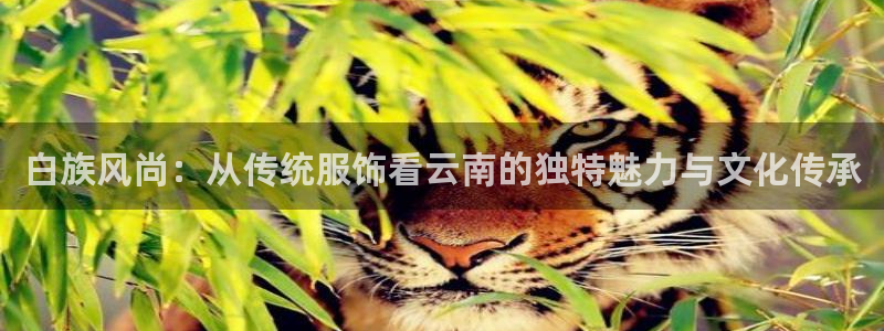 谈球吧的聊天软件叫什么