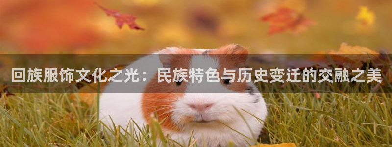 谈球吧平台正规吗可信吗