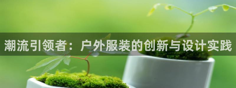 谈球吧在线观看