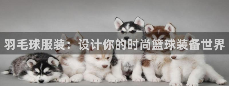 谈球吧官网在线入口网址