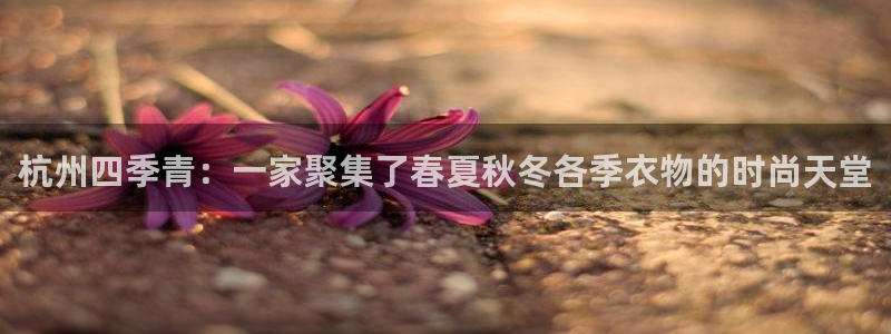 谈球吧网站