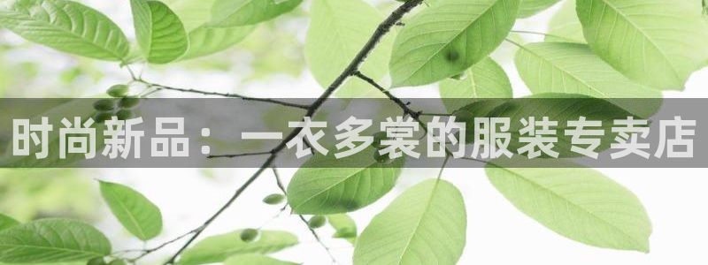 谈球吧的聊天软件叫什么