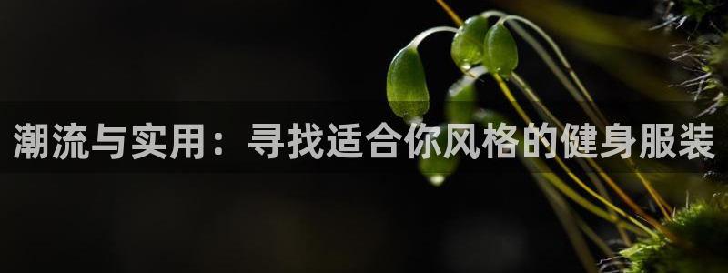 谈球吧网页版在线入口