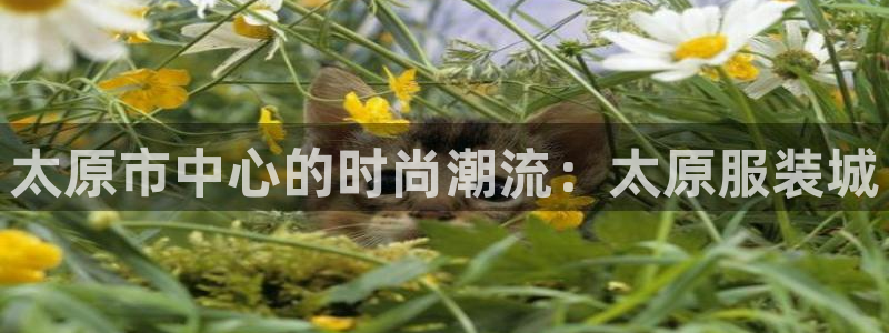 谈球吧出款怎样?