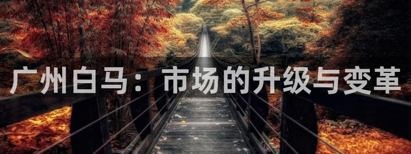 谈球吧与普通平台对比