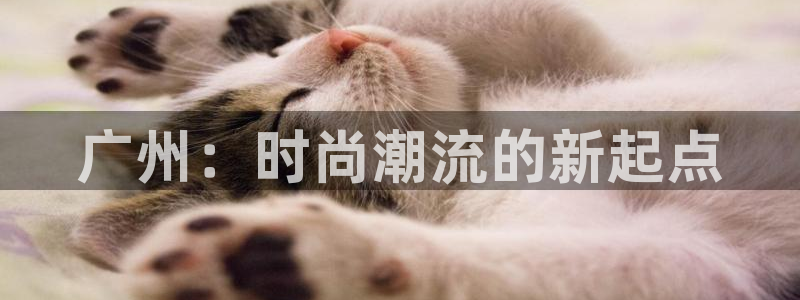 谈球吧app赛事分析在哪里看