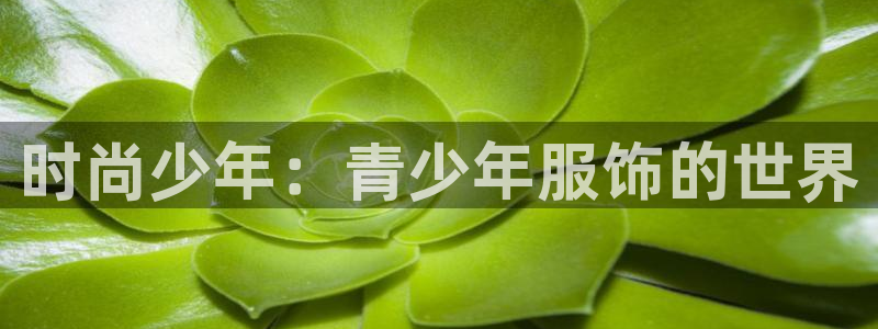 谈球吧体育综合台