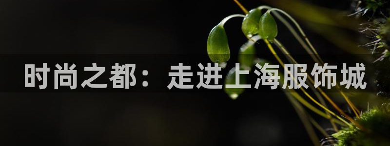 谈球吧官网入口在线观看