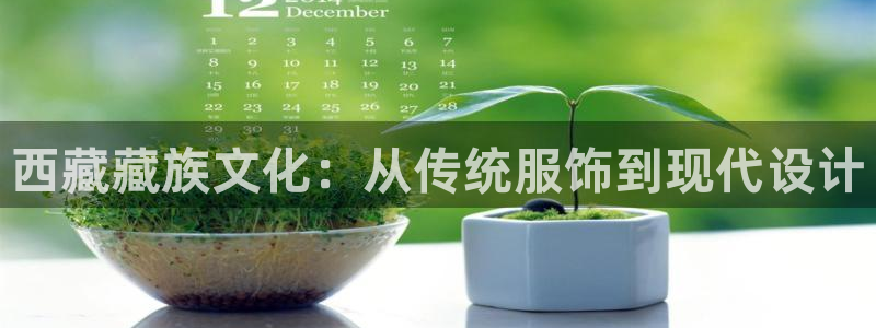 谈球吧官网在线入口免费观看视频网站