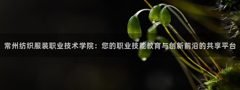 谈球吧app体育下载官网