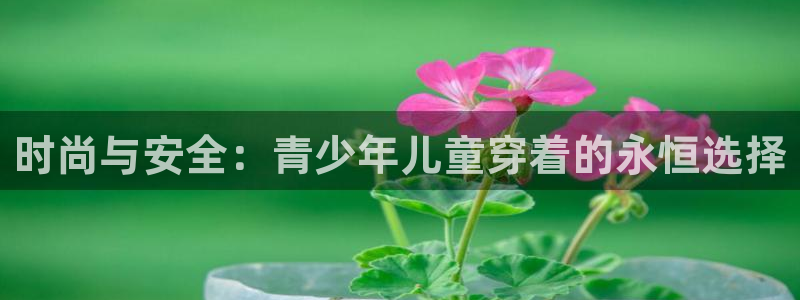 谈球吧官网入口在线观看