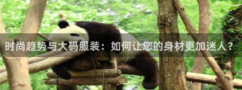 谈球吧官网在线入口免费观看高清视频