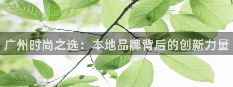 谈球吧在线登陆