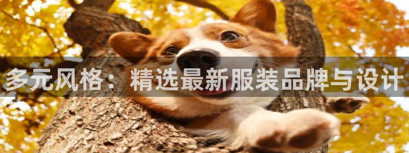 谈球吧的聊天软件下载