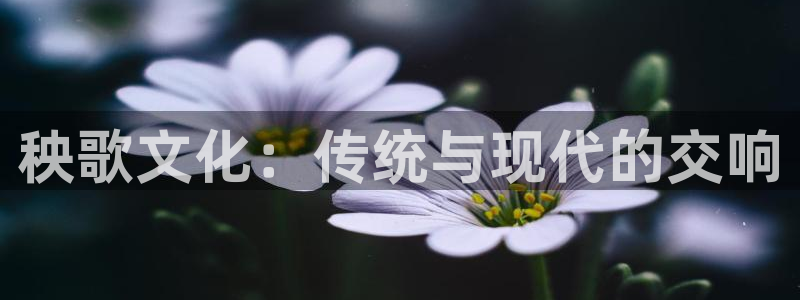 谈球吧体育官方入口