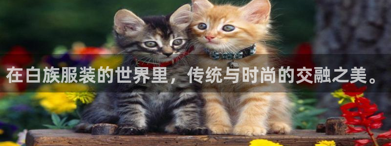 谈球吧体育app下载官网手机版