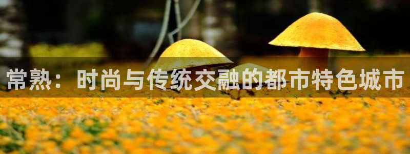 谈球吧的聊天软件叫什么来着