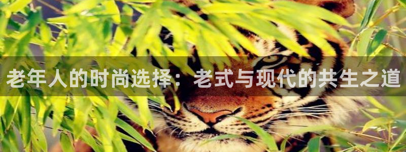 谈球吧与普通平台对比